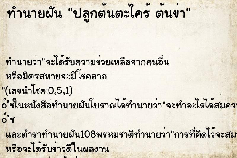 ทำนายฝัน ปลูกต้นตะไคร้ ต้นข่า ทำนายฝัน ปลูกต้นตะไคร้ ต้นข่า